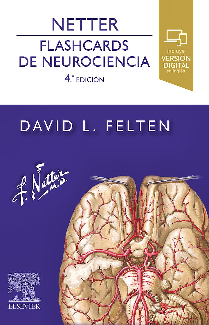 NETTER. FLASHCARDS DE NEUROCIENCIA 04 / 2023