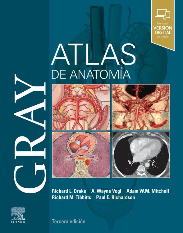 GRAY. ATLAS DE ANATOMIA 03 / 2021