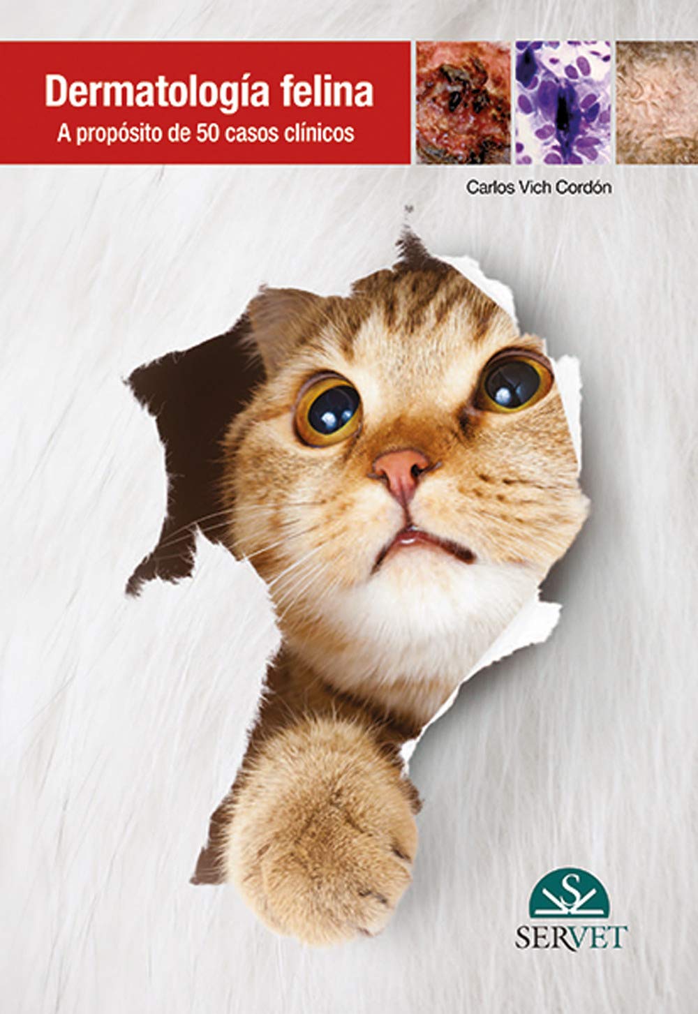 DERMATOLOGIA FELINA. A PROPOSITO DE 50 CASOS CLINICOS 01 / 2012