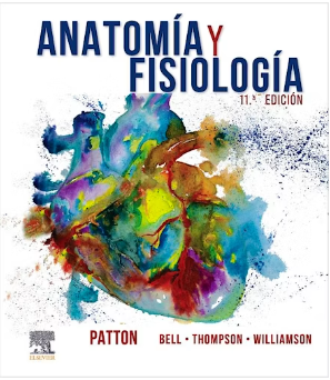 ANATOMIA Y FISIOLOGIA 11 / 2023