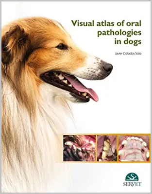 VISUAL ATLAS OF ORAL PATHOLOGIES IN DOGS 01 / 2016