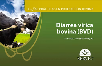 GUIAS PRACTICAS EN PRODUCCION BOVINA. DIARREA VIRICA BOVINA (BVD) 01 / 2019