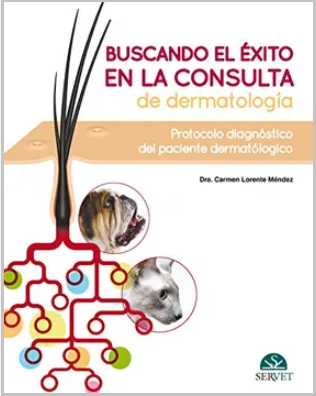 BUSCANDO EL EXITO EN LA CONSULTA DE DERMATOLOGIA. PROTOCOLO DIAGNOSTICO DEL PACIENTE DERMATOLOGICO 01 / 2019