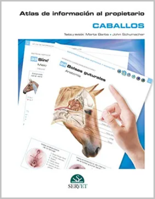 CABALLOS. ATLAS DE INFORMACION AL PROPIETARIO 01 / 2020