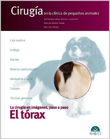 TORAX. CIRUGIA EN LA CLINICA DE PEQUEÑOS ANIMALES 01 /2021
