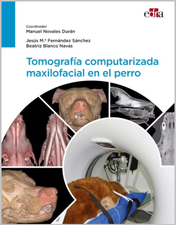 TOMOGRAFIA COMPUTARIZADA MAXILOFACIAL EN EL PERRO 01 / 2024