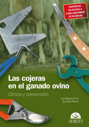 COJERAS EN EL GANADO OVINO. CLINICA Y PREVENCION 01 / 2008