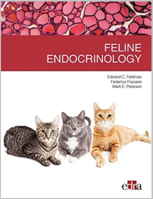 FELINE ENDOCRINOLOGY 01 / 2019