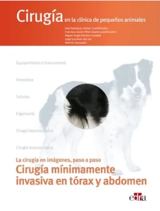 CIRUGIA MINIMAMENTE INVASIVA EN TORAX Y ABDOMEN. CIRUGIA EN LA CLINICA DE PEQUEÑOS ANIMALES 01 / 2024