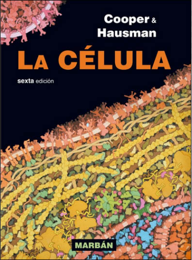 LA CELULA. COOPER 06 / 2014