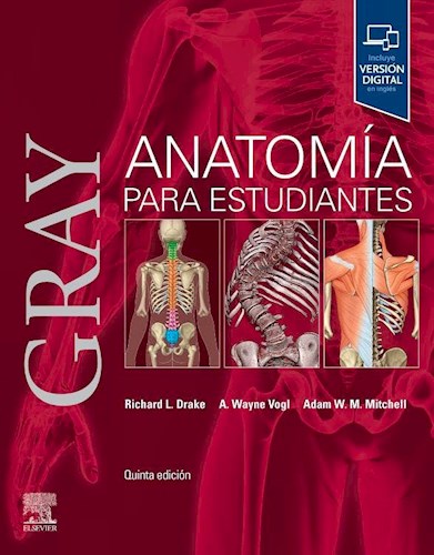 GRAY. ANATOMIA PARA ESTUDIANTES 05 / 2024