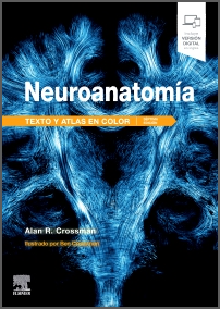 NEUROANATOMIA. TEXTO Y ATLAS EN COLOR 07 / 2026