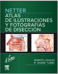 NETTER. ATLAS DE ILUSTRACIONES Y FOTOGRAFIAS DE DISECCION 01 / 2026
