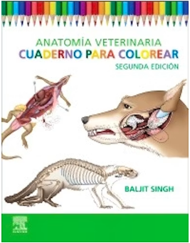ANATOMIA VETERINARIA. CUADERNO PARA COLOREAR 02 / 2026